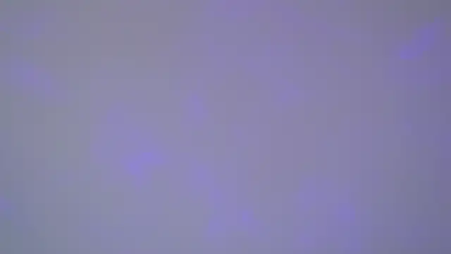 Snapshot of SelinSwarovski chatting on 11/01/25, 05:09 SelinSwarovski online show from 11/01/25, 05:09