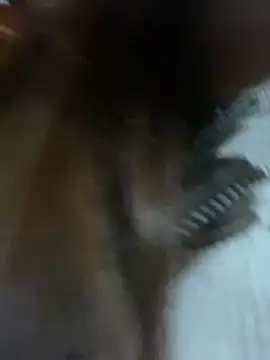 Snapshot of girl_anni chatting on 02/16/25, 09:15 girl anni online show from 02/16/25, 09:15