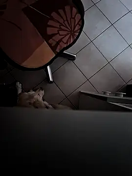 HardWolf2024 online show from 12/09/24, 02:49