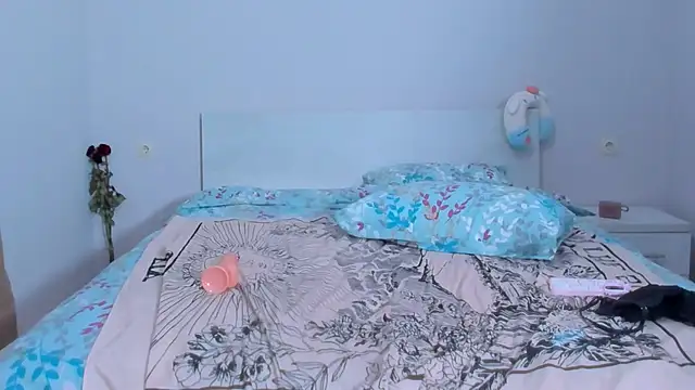 Snapshot of Shadow_Strik chatting on 12/18/24, 03:55 Shadow Strik online show from 12/18/24, 03:55