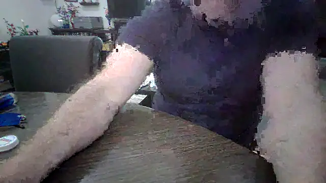 LARawAlways2 online show from 02/26/26, 07:02