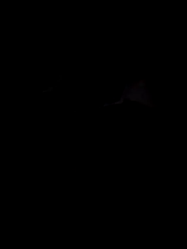 Alee3xxx online show from 12/17/25, 11:27