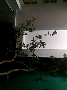 Snapshot of Jhon837486 chatting on 12/29/24, 02:21 Jhon837486 online show from 12/29/24, 02:21