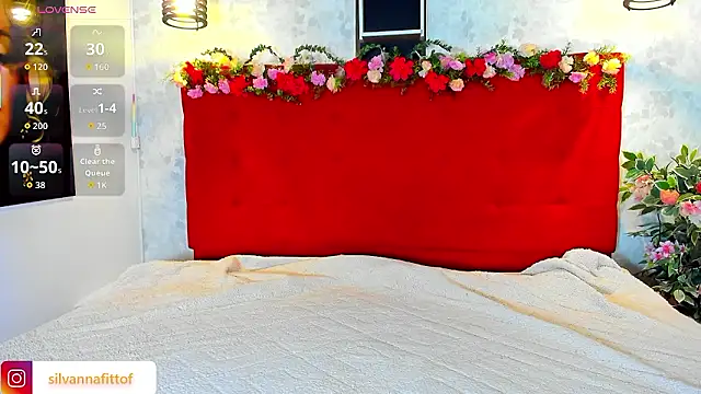 Snapshot of SilvannaFit chatting on 01/06/26, 11:47 SilvannaFit online show from 01/06/26, 11:47