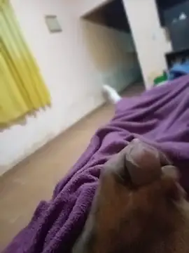 carloshot31 online show from 03/31/26, 08:48