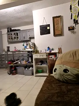 Snapshot of abdierkader chatting on 11/12/25, 09:03 abdierkader online show from 11/12/25, 09:03