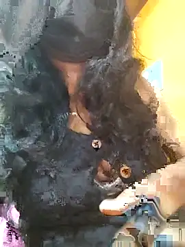 Tamillminnal online show from 09/13/25, 05:02