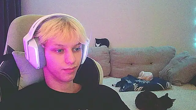 Ostin meow online show from 12/19/24, 03:41