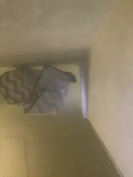 Snapshot of Tommy_y_Pamela chatting on 02/17/26, 03:25 Tommy y Pamela online show from 02/17/26, 03:25