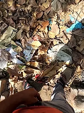 Snapshot of faaseel chatting on 04/23/26, 09:41 faaseel online show from 04/23/26, 09:41