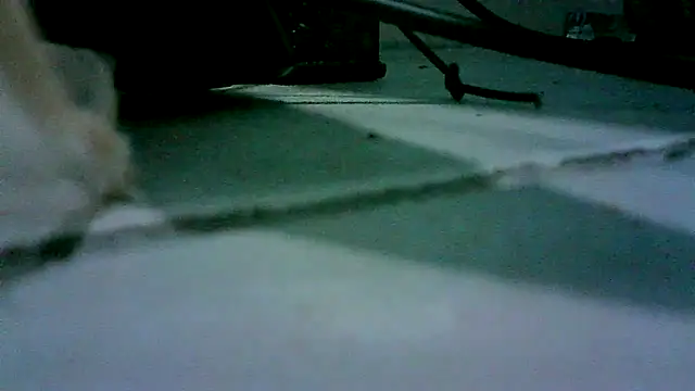 Snapshot of patynalgona chatting on 10/18/25, 11:00 patynalgona online show from 10/18/25, 11:00