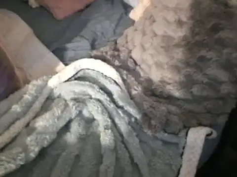 Snapshot of housewife_shantie chatting on 03/15/25, 08:04 housewife shantie online show from 03/15/25, 08:04