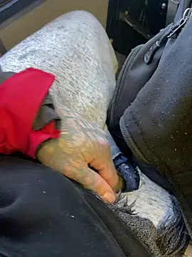 Snapshot of Fuckboy4public chatting on 12/29/24, 04:08 Fuckboy4public online show from 12/29/24, 04:08