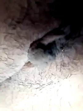 Snapshot of lemon69Reo chatting on 02/26/25, 09:48 lemon69Reo online show from 02/26/25, 09:48