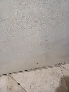 Snapshot of lemon69Reo chatting on 02/08/26, 06:39 lemon69Reo online show from 02/08/26, 06:39