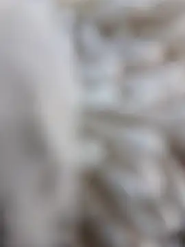 Snapshot of lemon69Reo chatting on 02/15/26, 08:38 lemon69Reo online show from 02/15/26, 08:38