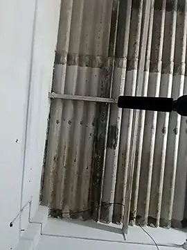 Snapshot of Sex-Nia chatting on 12/19/24, 04:57 Sex-Nia online show from 12/19/24, 04:57