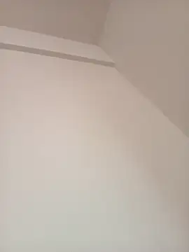 Morguisssz online show from 10/11/25, 10:58