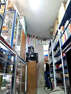 nidia2026 online show from 01/28/25, 03:57