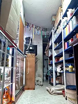 nidia2026 online show from 03/01/25, 06:32