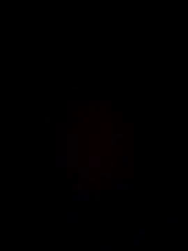 samee00721 online show from 12/25/24, 04:12