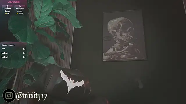 Snapshot of Trinity___s chatting on 01/01/25, 08:13 Trinity s online show from 01/01/25, 08:13