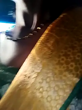 Snapshot of Kajal__Mehra chatting on 03/28/26, 03:39 Kajal Mehra online show from 03/28/26, 03:39