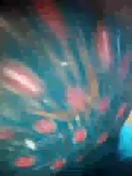 Snapshot of Ruby_Sc chatting on 12/08/24, 01:36 Ruby Sc online show from 12/08/24, 01:36