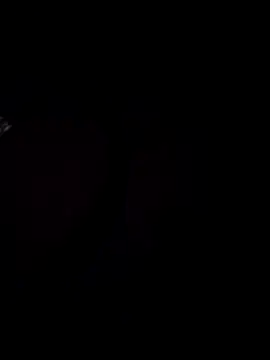 raamcxy online show from 12/20/24, 07:07