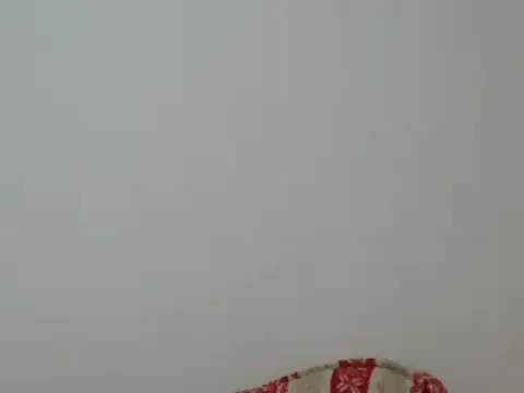 Snapshot of Hannabeckboobs chatting on 12/24/24, 03:37 Hannabeckboobs online show from 12/24/24, 03:37