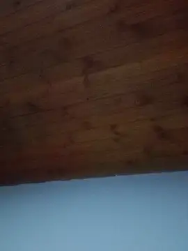 Darly Gomez online show from 02/19/25, 08:41