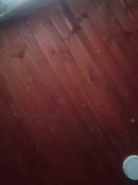 Darly Gomez online show from 03/03/25, 10:10