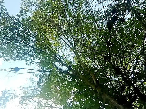 Darly Gomez online show from 03/15/25, 03:27