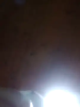 Darly Gomez online show from 03/23/25, 12:04