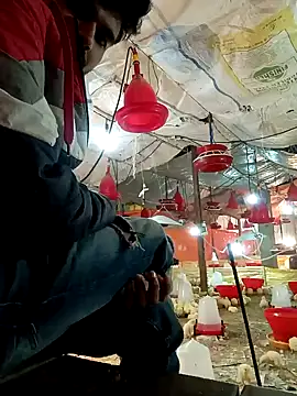 Roni1028 online show from 12/31/24, 05:11