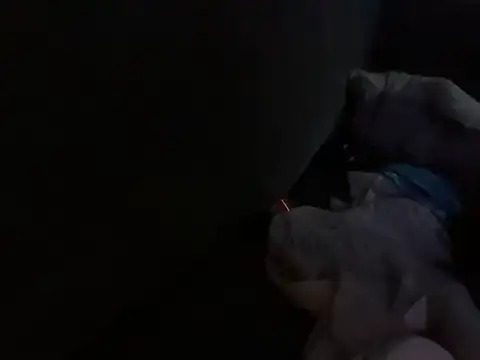 Snapshot of houy111111 chatting on 10/18/25, 04:52 houy111111 online show from 10/18/25, 04:52