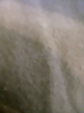 Snapshot of houy111111 chatting on 01/09/26, 05:48 houy111111 online show from 01/09/26, 05:48