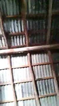 Snapshot of Feli230990 chatting on 03/10/25, 06:12 Feli230990 online show from 03/10/25, 06:12