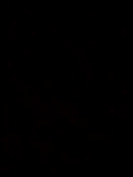 Snapshot of Feli230990 chatting on 10/08/25, 07:50 Feli230990 online show from 10/08/25, 07:50