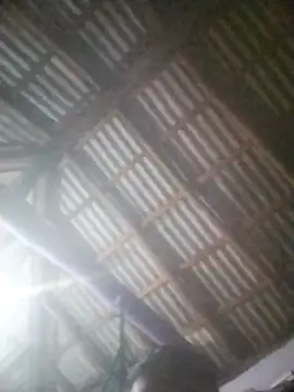 Feli230990 online show from 04/08/26, 05:18