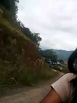 Danna-linyi online show from 01/26/25, 12:54