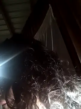 Kyomisweet online show from 12/13/24, 06:53