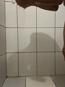 Snapshot of Henrico chatting on 12/24/24, 09:33 Henrico online show from 12/24/24, 09:33