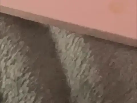 BCNguy1 online show from 01/16/26, 01:42