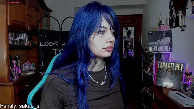 Snapshot of _sakae_ chatting on 04/10/26, 08:41 sakae online show from 04/10/26, 08:41