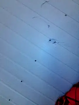 Snapshot of frotasso chatting on 12/12/24, 04:15 frotasso online show from 12/12/24, 04:15