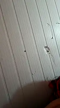 Snapshot of frotasso chatting on 01/01/25, 10:32 frotasso online show from 01/01/25, 10:32