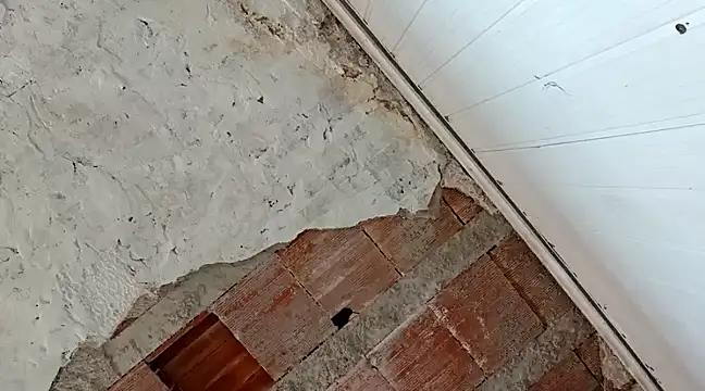 Snapshot of frotasso chatting on 01/18/25, 04:31 frotasso online show from 01/18/25, 04:31