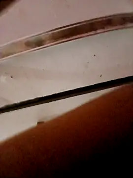 Snapshot of frotasso chatting on 10/23/25, 11:14 frotasso online show from 10/23/25, 11:14