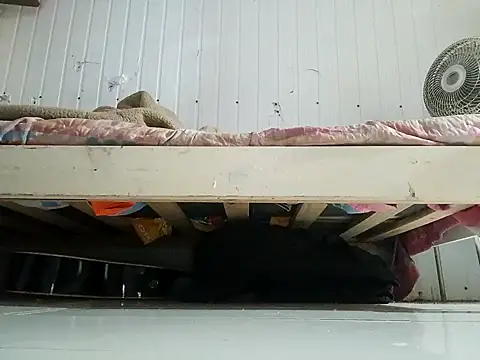 frotasso online show from 02/13/26, 11:01